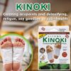 Kinoki flasteri za detoksikaciju | 50 komada