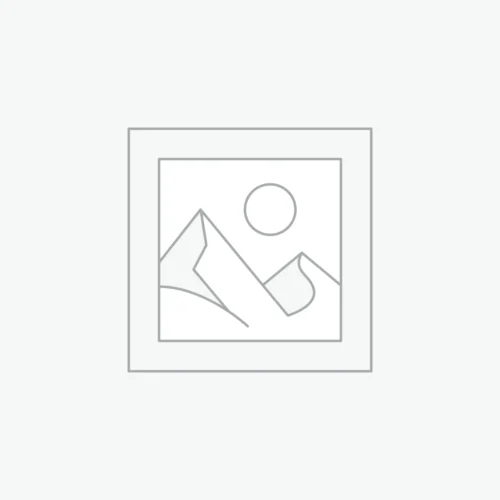 2 u 1 Četka s vrućim vazduhom – One Step W19005, 1000W